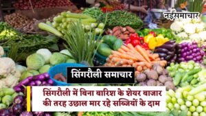 Singrauli Vegetable Price : सिंगरौली में बिना बारिश के शेयर बाजार की तरह उछाल मार रहे सब्जियों के दाम