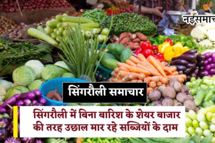 Singrauli Vegetable Price