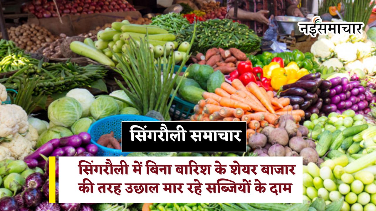 Singrauli Vegetable Price