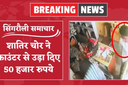 Singrauli Shriram Traders Shop Theft