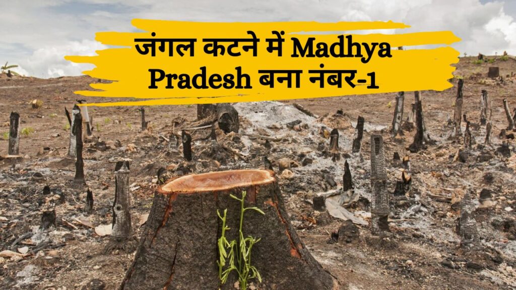 Madhya Pradesh