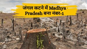 जंगल कटने में Madhya Pradesh बना नंबर-1, विकास के नाम पर 38,553 हेक्टेयर वन नष्ट