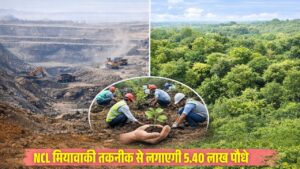 Singrauli News : एनसीएल 210.20 हेक्टेयर एरिया में मियावाकी तकनीक से लगाएगी 5.40 लाख पौधे,बदलेगा खदान क्षेत्र का स्वरूप